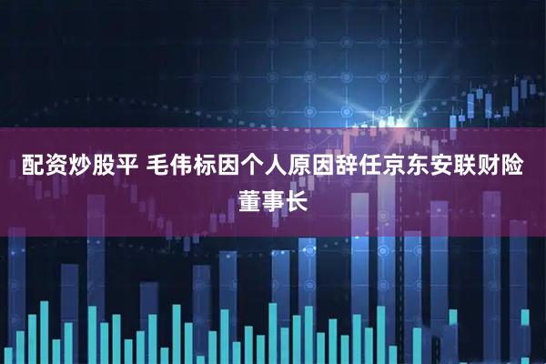 配资炒股平 毛伟标因个人原因辞任京东安联财险董事长